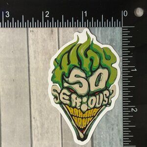 🌀10/$10🌀 The Joker Harley Quinn Reusable Waterproof Vinyl Sticker Decal